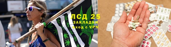 дживик Балахна