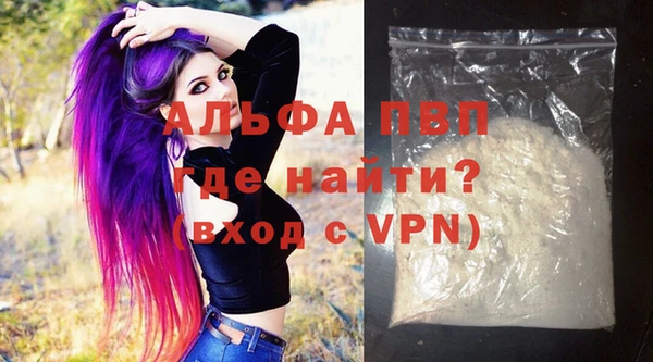 spice Аркадак