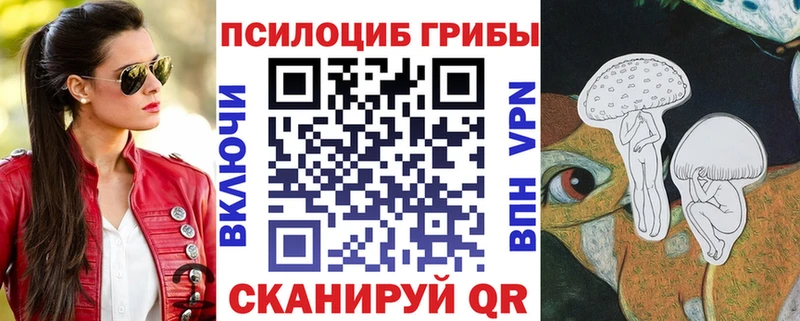 где можно купить Гагарин Галлюциногенные грибы MAGIC MUSHROOMS